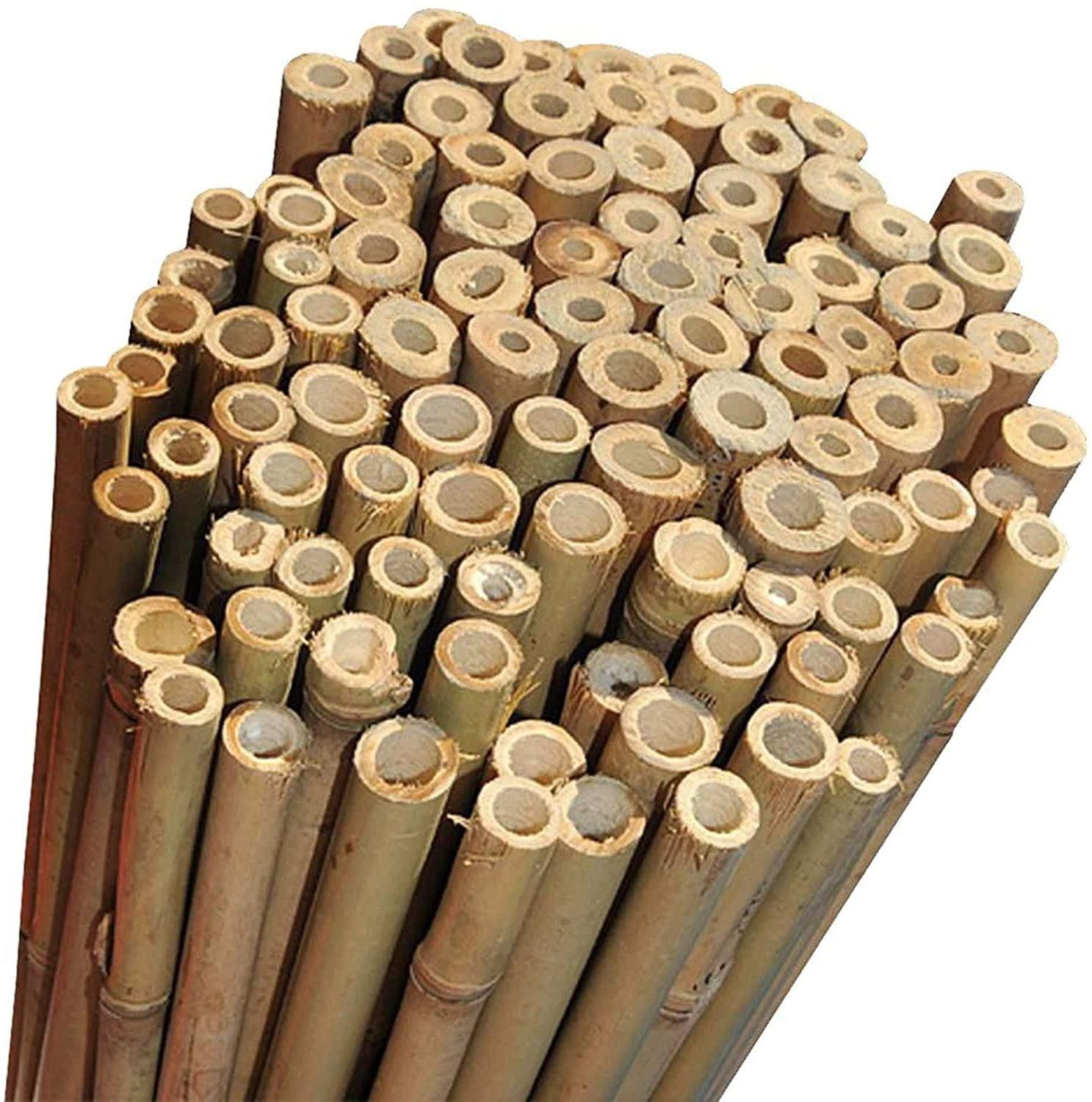 10 X 2ft (60cm) Bamboo Canes