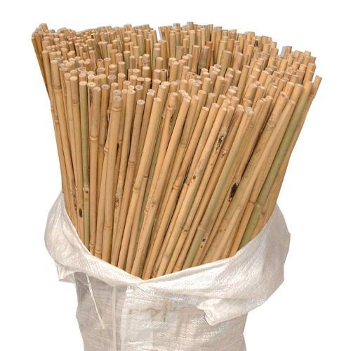 10 X 6ft (180cm) Bamboo Canes