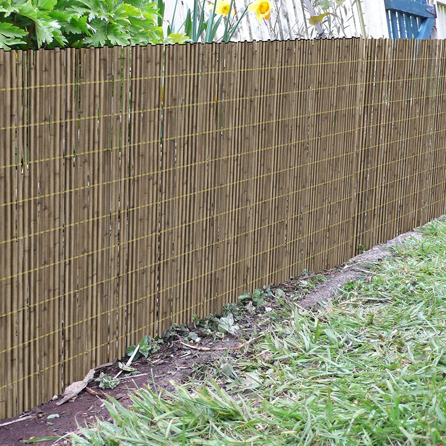 High Quality Reed Fence ( 9-10mm ) -1.8m X 3m