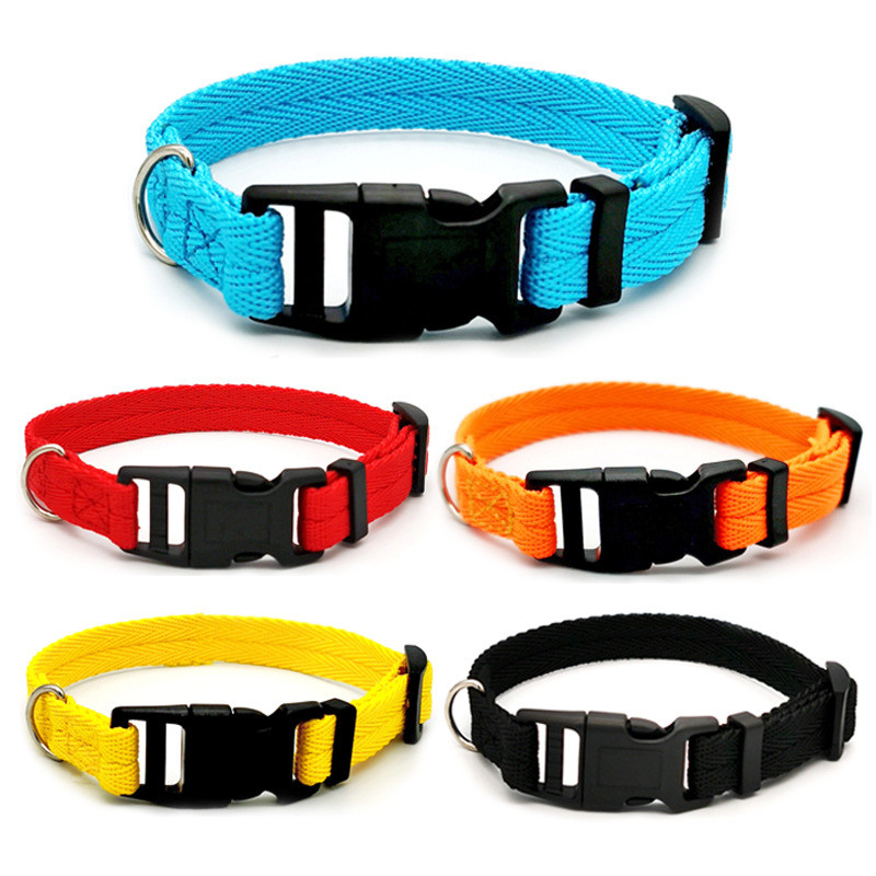 Gagyive Nylon Dog Collar - Breakaway Personalised Pet Accessory