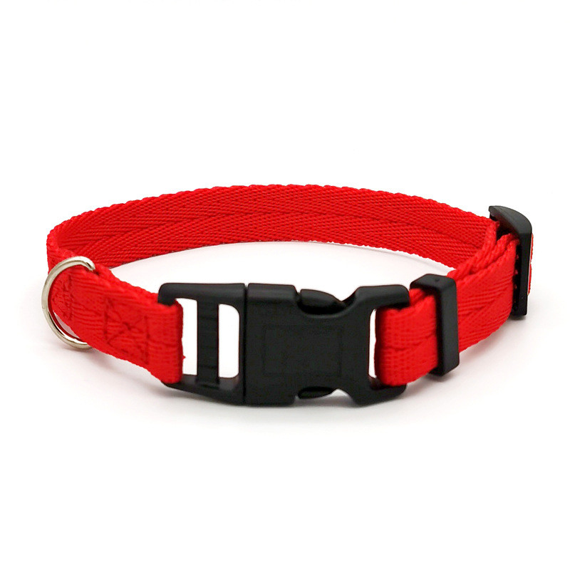 Gagyive Nylon Dog Collar - Breakaway Personalised Pet Accessory