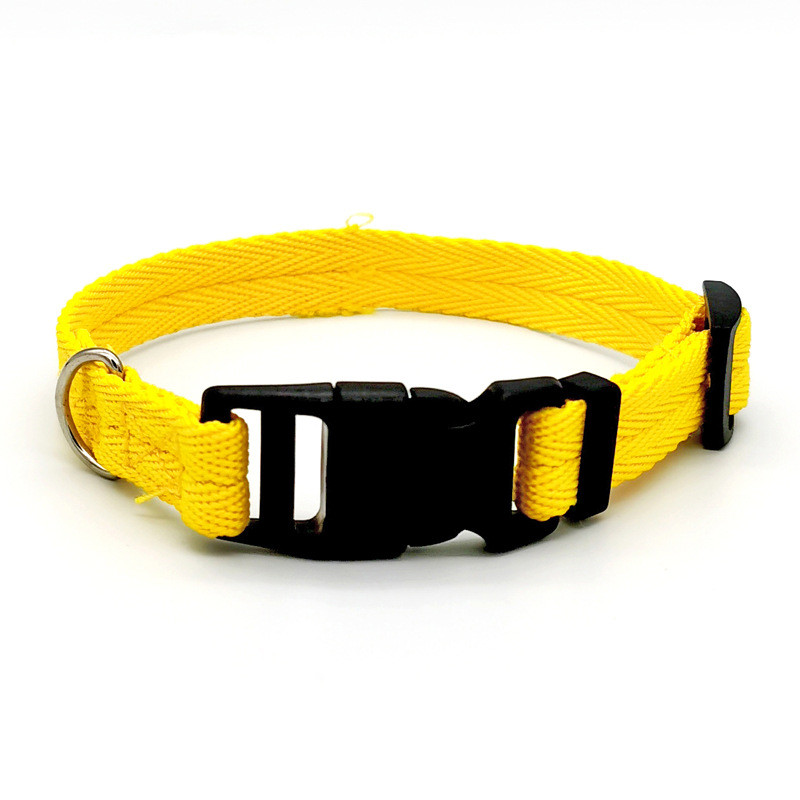 Gagyive Nylon Dog Collar - Breakaway Personalised Pet Accessory