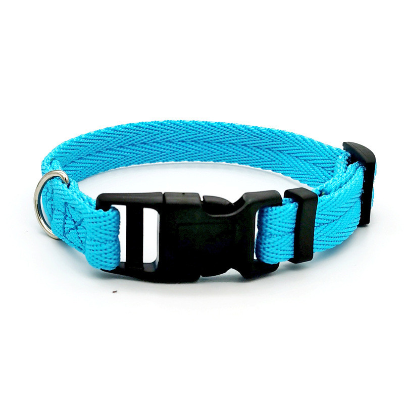 Gagyive Nylon Dog Collar - Breakaway Personalised Pet Accessory