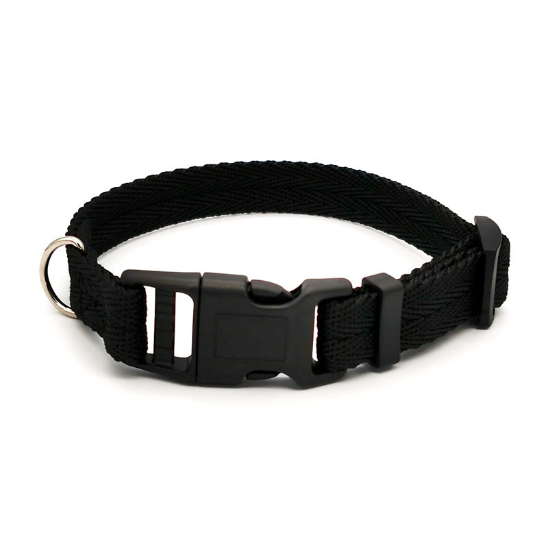 Gagyive Nylon Dog Collar - Breakaway Personalised Pet Accessory