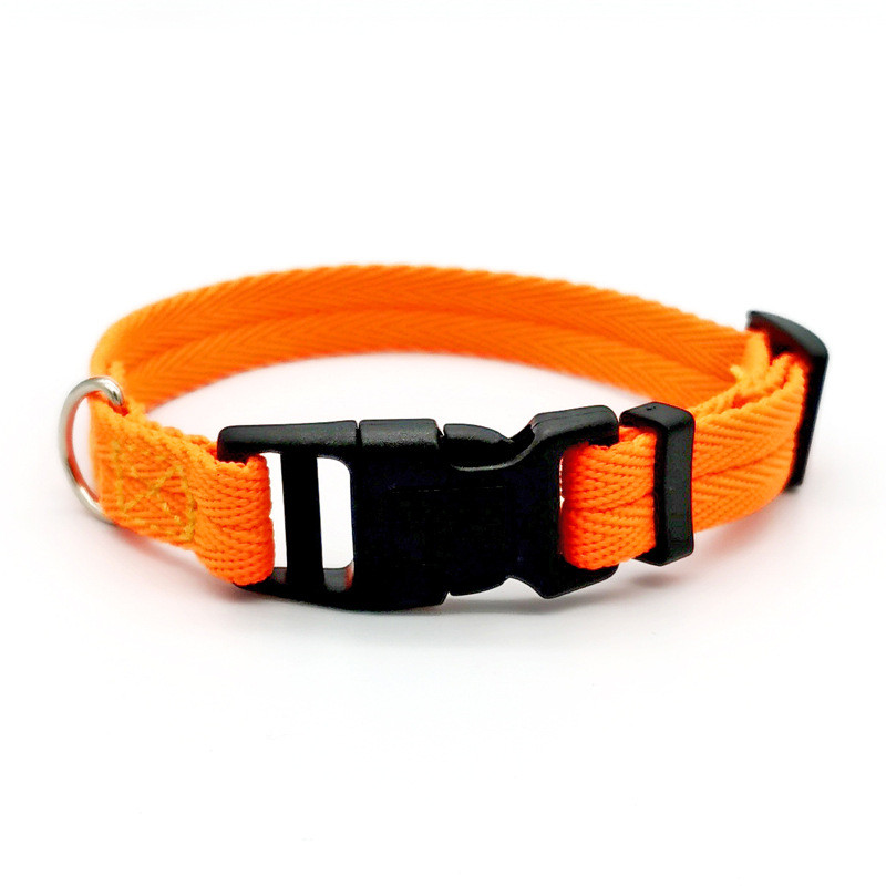 Gagyive Nylon Dog Collar - Breakaway Personalised Pet Accessory