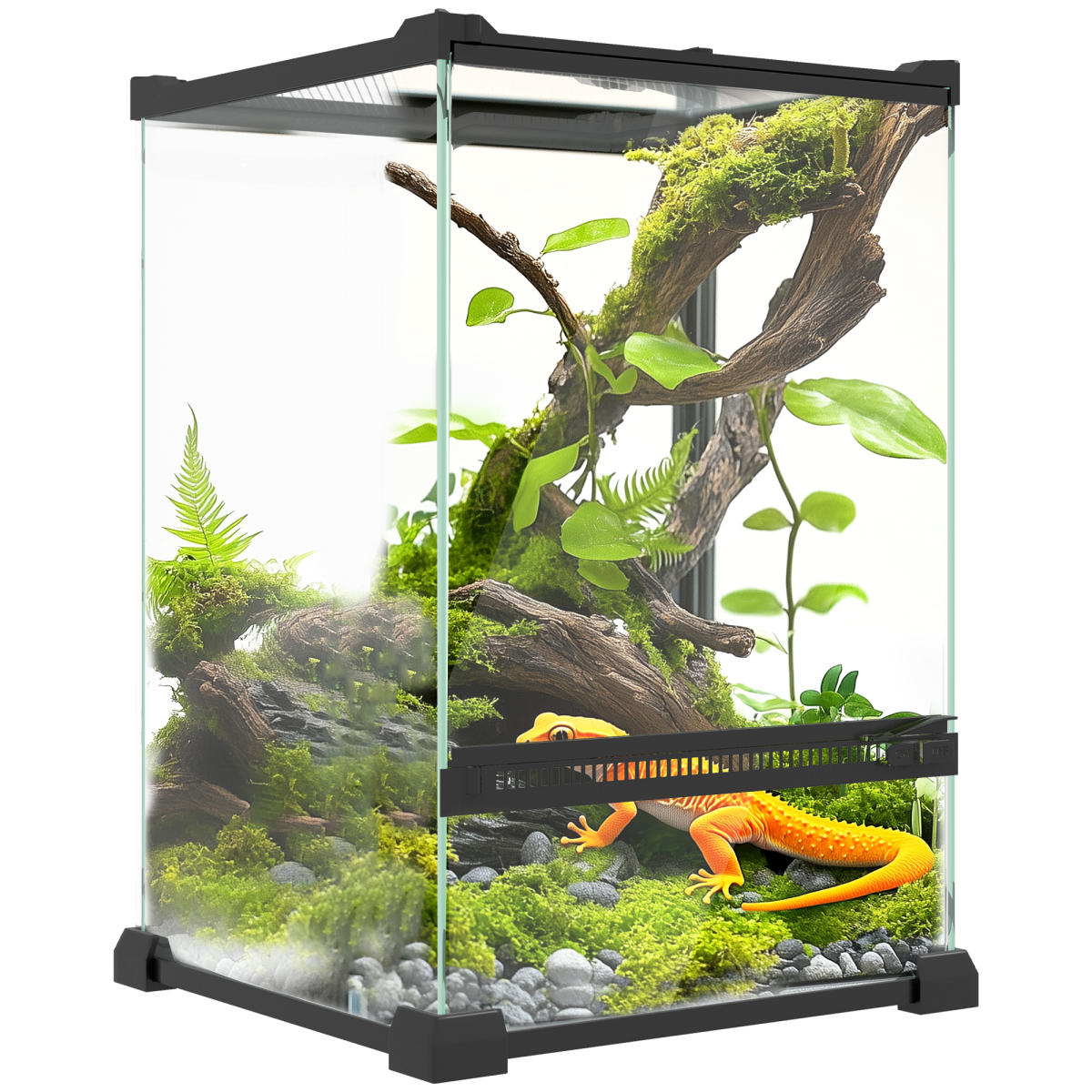 Pawhut Glass Reptile Terrarium, 12l Vivarium For Lizards Frogs Snakes Turtles