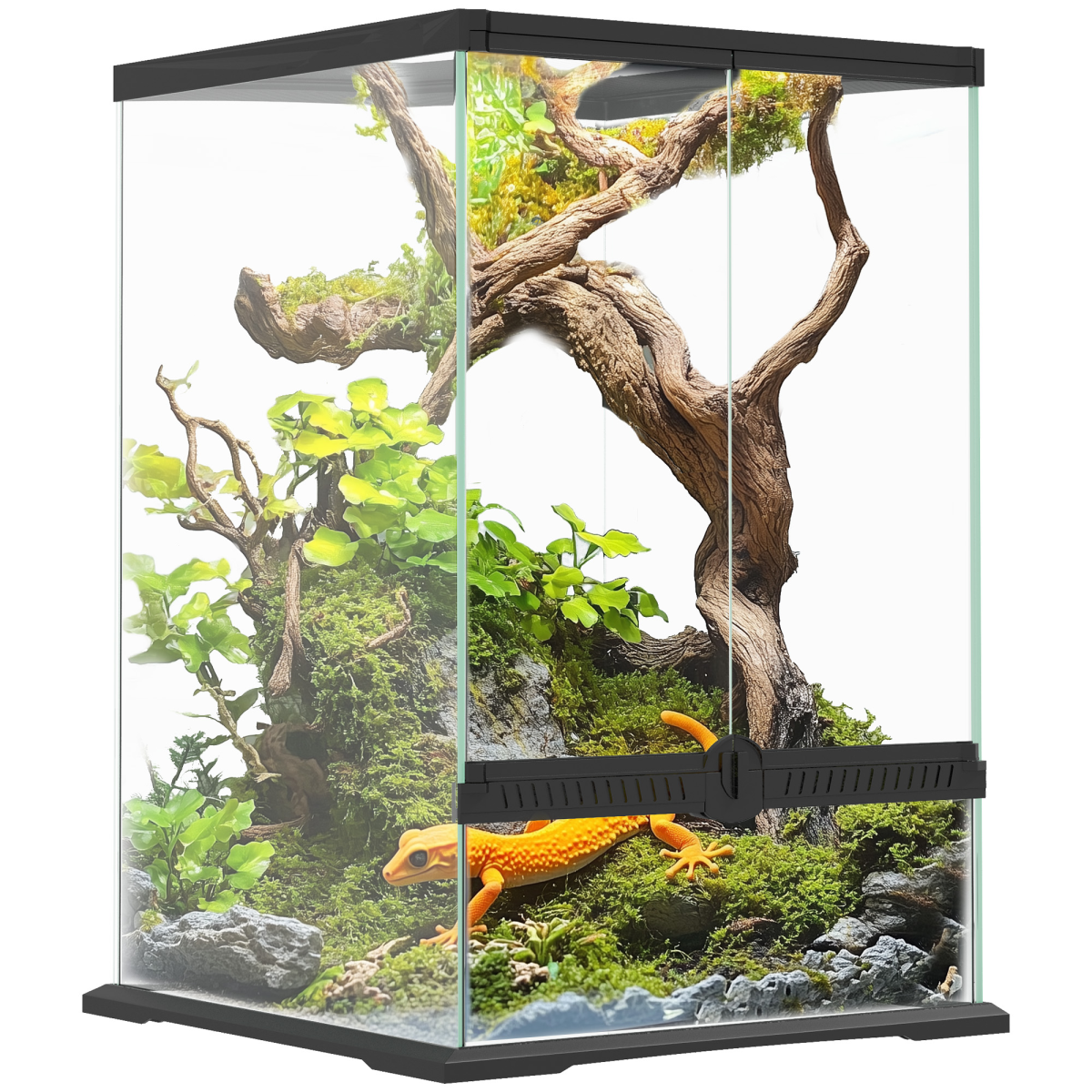 Pawhut Glass Reptile Terrarium, 40l Vivarium For Lizards Frogs Snakes Turtles