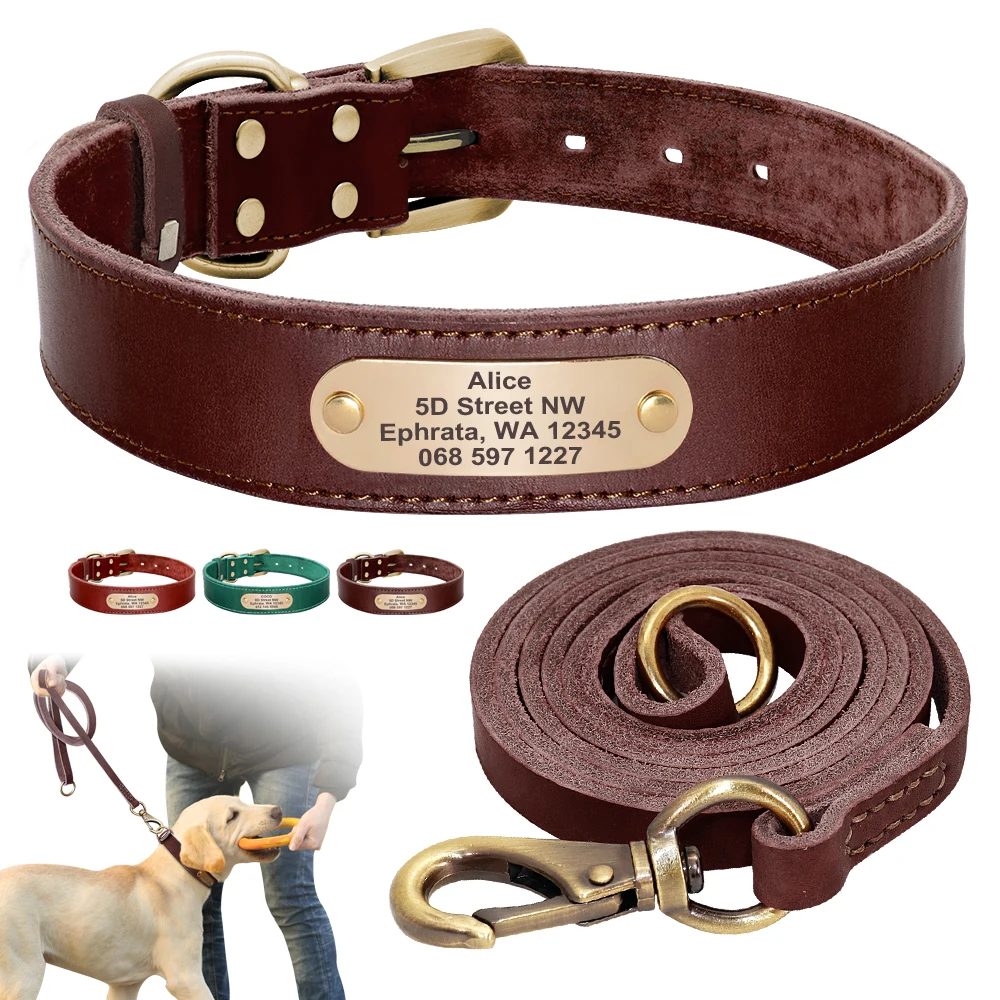 Beirui Personalised Leather Dog Collar & Leash Set for All Breeds
