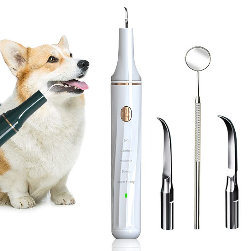 OIMG Ultrasonic Dental Cleaner for Effective Calculus Removal - Universal Use | SonicCleanse UK product image 1