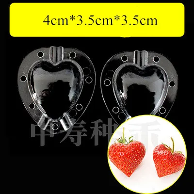 Watermelon Apple Fruit Mold Shaper Garden Tool for Unique Growing Shapes - Picture 10 of 19