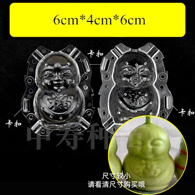 Watermelon Apple Fruit Mold Shaper Garden Tool for Unique Growing Shapes - Picture 16 of 19